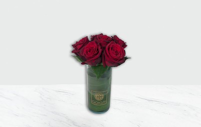 گلدان رز هلندی
