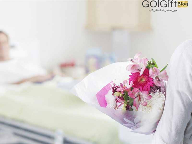 گل گیفت | تاثیر گل در محیط های درمانی