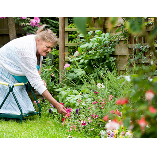مزایای گیاهان برای سالمندان