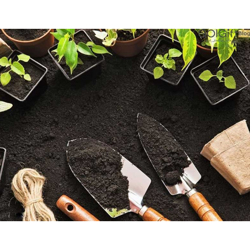 خاک برای گیاهان آپارتمانی
