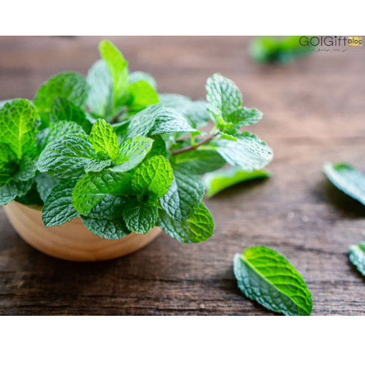 نعنا گیاه مناسب برای سالمندان