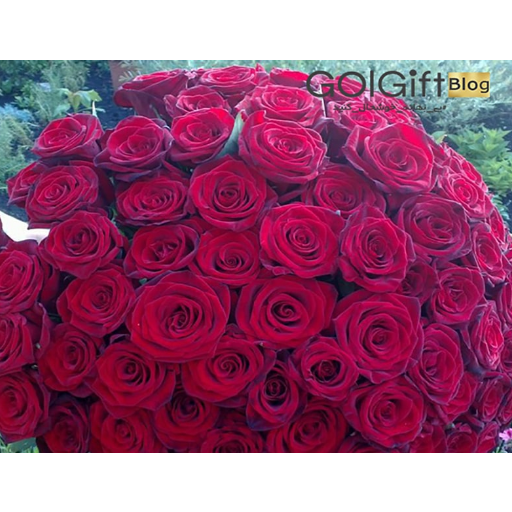 مفهوم هدیه width=512 height=512 border=0