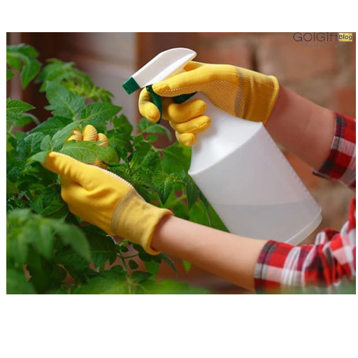 استفاده از آب و صابون برای از بین بردن پشه