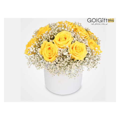 گل رز زرد عکس با ابعاد 512x512