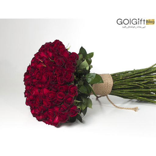 گل رز قرمز عکس با ابعاد 512x512