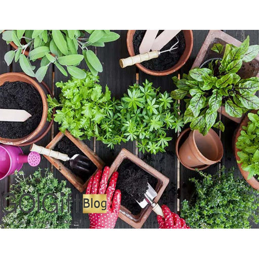 بررسی خاک مناسب برای گیاهان