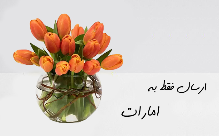 ارسال گل لاله به دبی