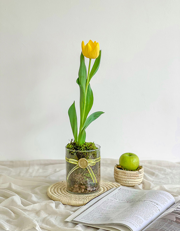 لاله زرد با گلدان شیشه ای